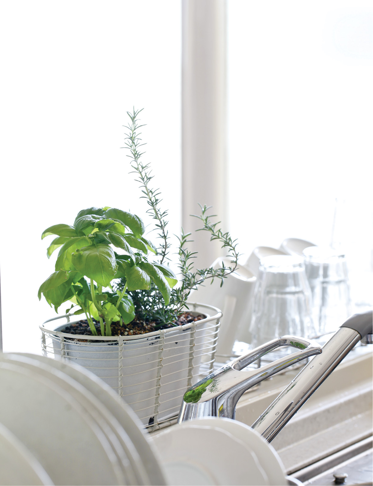 Herbalicious! Living Magazine