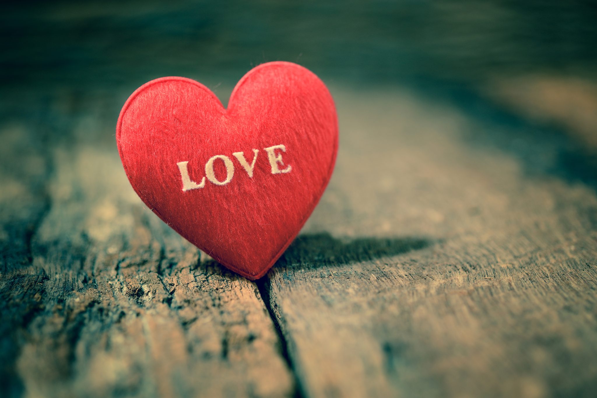 Love is a Four Letter Word - Living Magazine