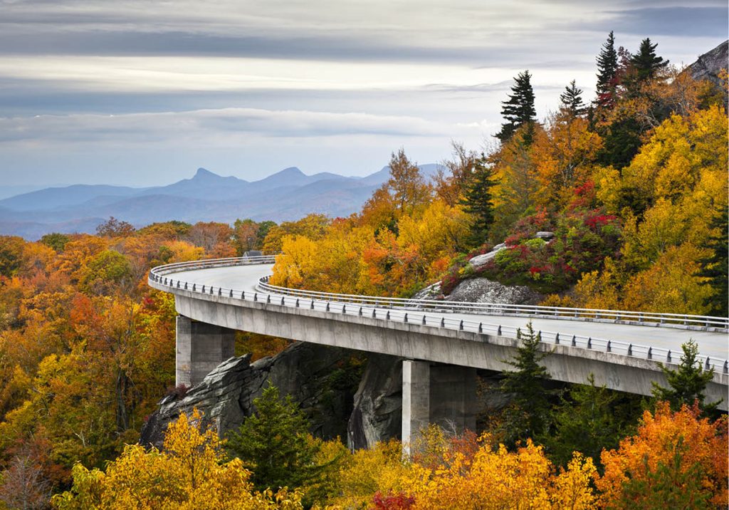 asheville fall