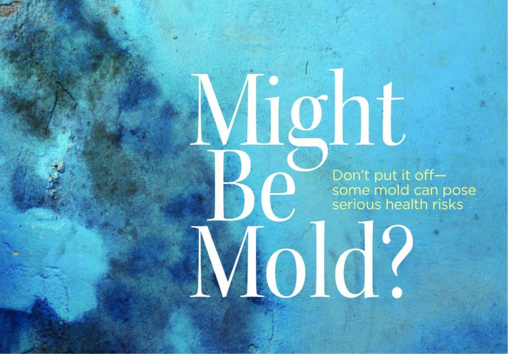 9-16 Home_Mold_web1