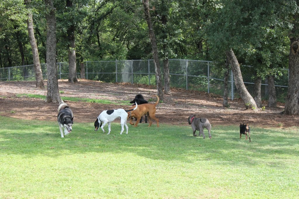 The Hound Mound Flower Mound Dog Park