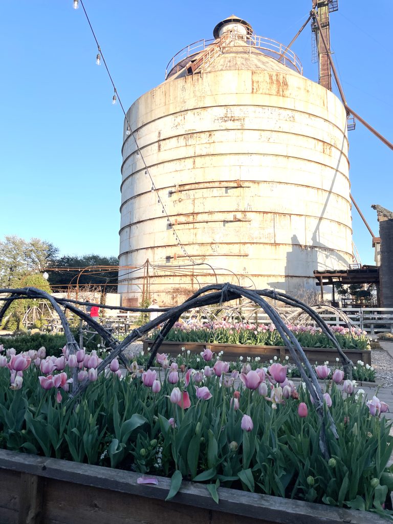 MagnoliaMarketSilos creditChristina Garcia